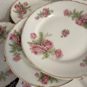 Salatitaldrikud 10 tk